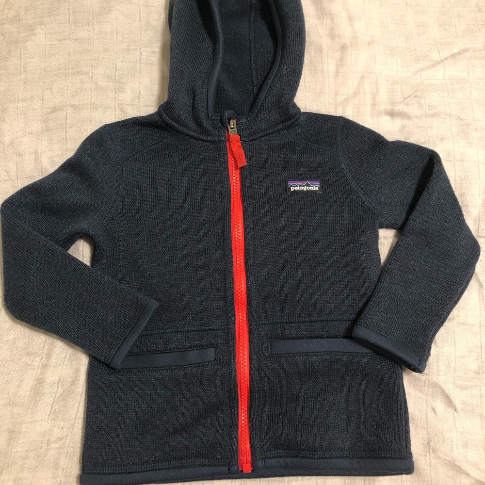 Better Sweater by Patagonia Toddler Boy Jacket
